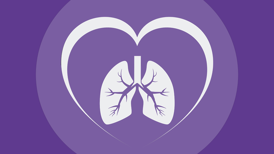 The link between the heart and the lungs
