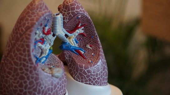 ¿Existe un vínculo entre la función pulmonar y la COVID-19?