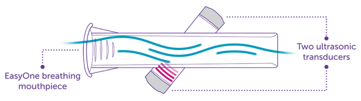 ndd ultrasound pft technology