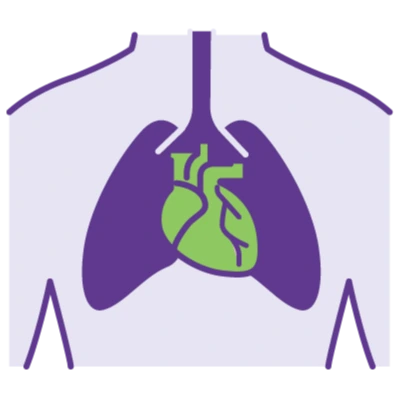 Cardiology graphic