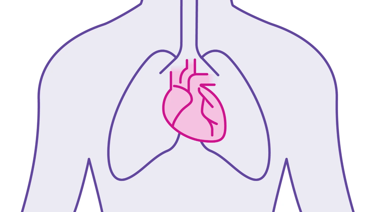 Cardiovascular health