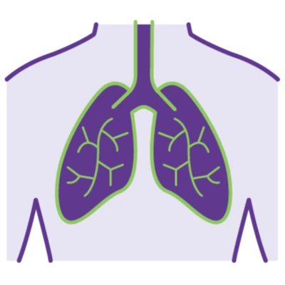 pulmonary solutions graphic